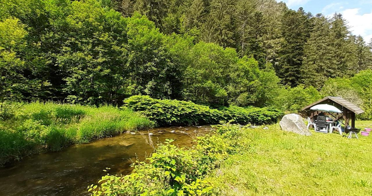 Ferienwohnung La Perle Au Bord De La Riviere Gérardmer Exterior foto