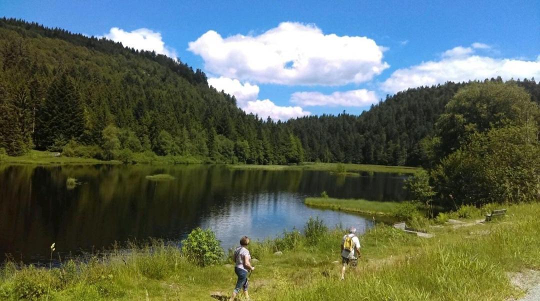 Ferienwohnung La Perle Au Bord De La Riviere Gérardmer Exterior foto