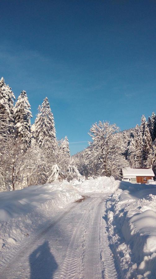 Ferienwohnung La Perle Au Bord De La Riviere Gérardmer Exterior foto