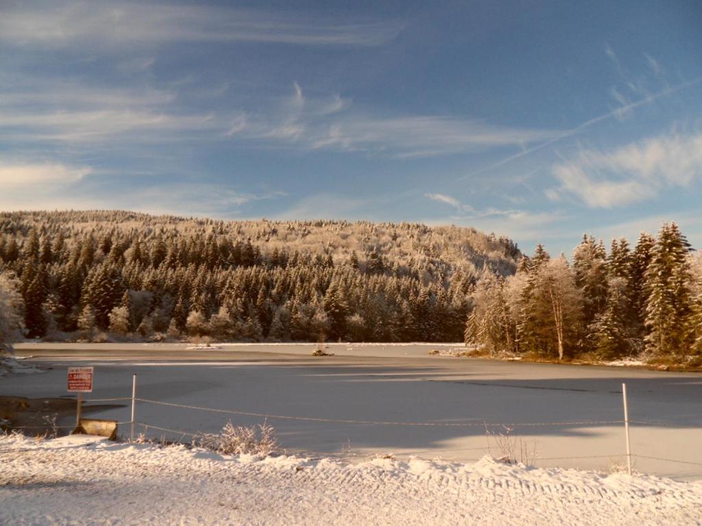 Ferienwohnung La Perle Au Bord De La Riviere Gérardmer Exterior foto