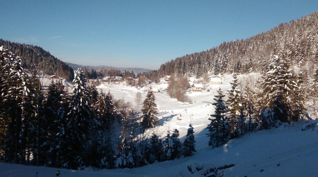 Ferienwohnung La Perle Au Bord De La Riviere Gérardmer Exterior foto