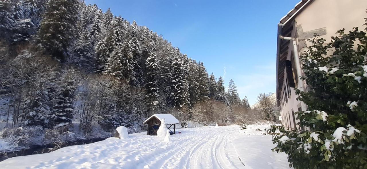 Ferienwohnung La Perle Au Bord De La Riviere Gérardmer Exterior foto